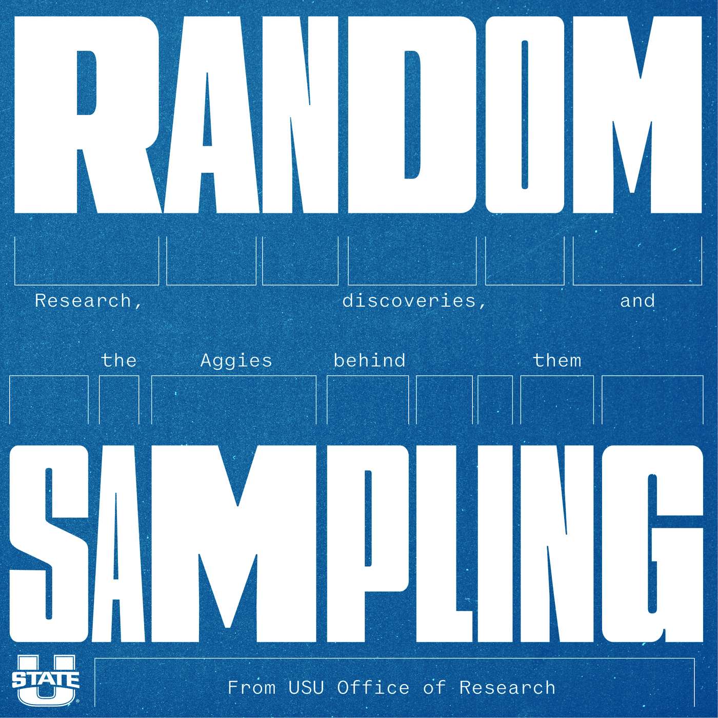 Random Sampling podcast artwork