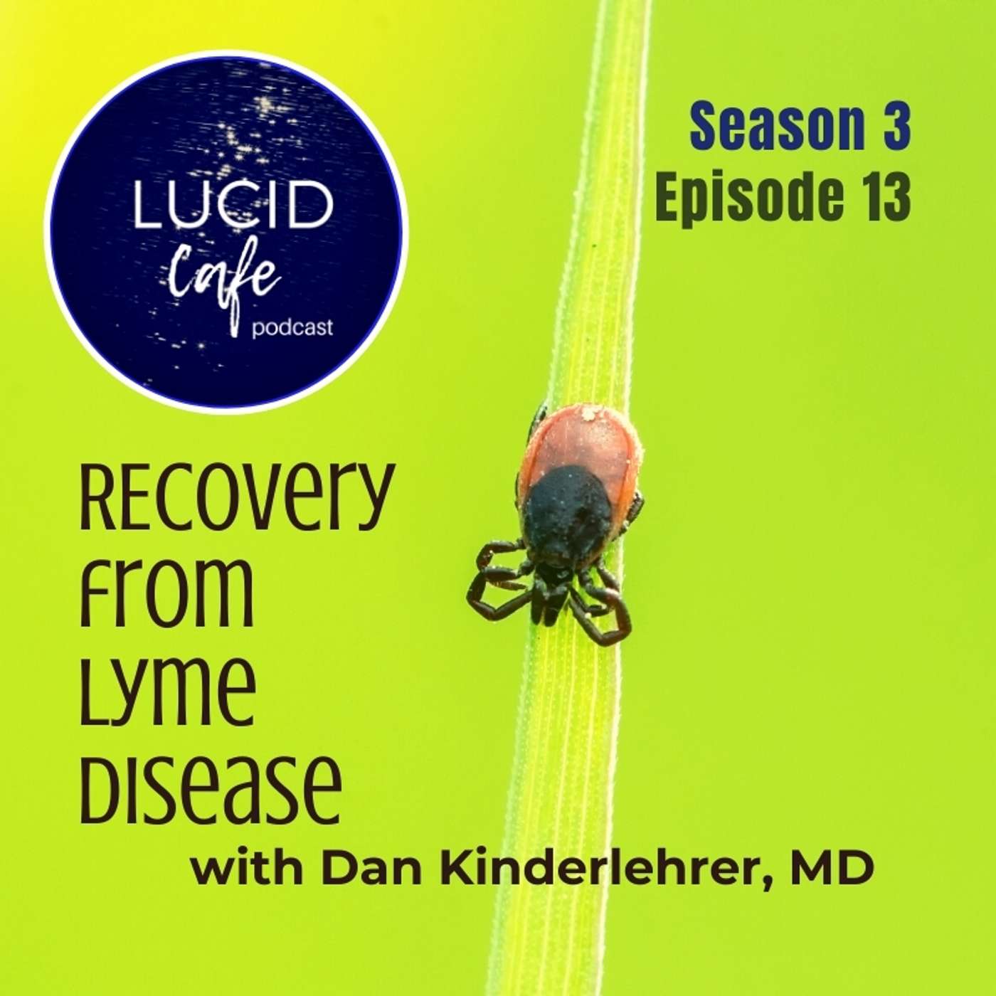 Recovery From Lyme Disease with Dan Kinderlehrer MD episode artwork