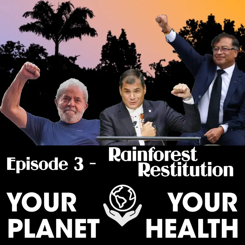 Rainforest Restitution