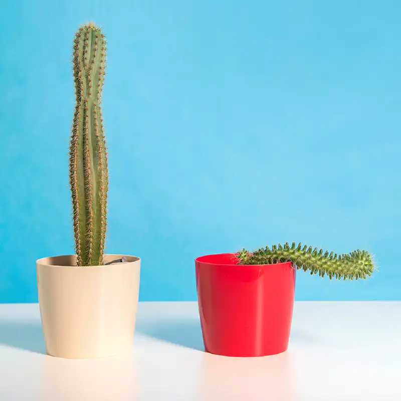 Testosterone and Diabetes