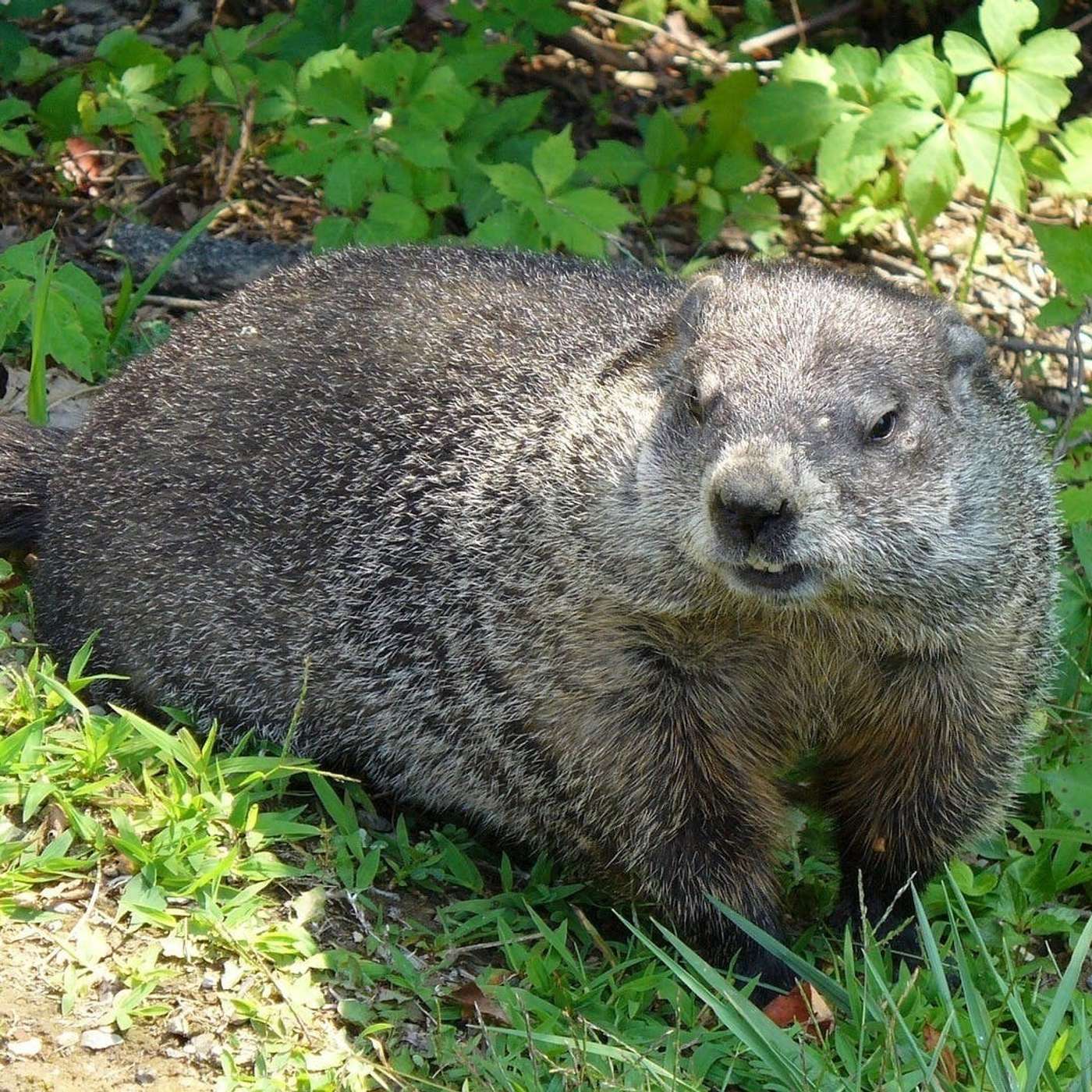 Nature and Science 4 Kids