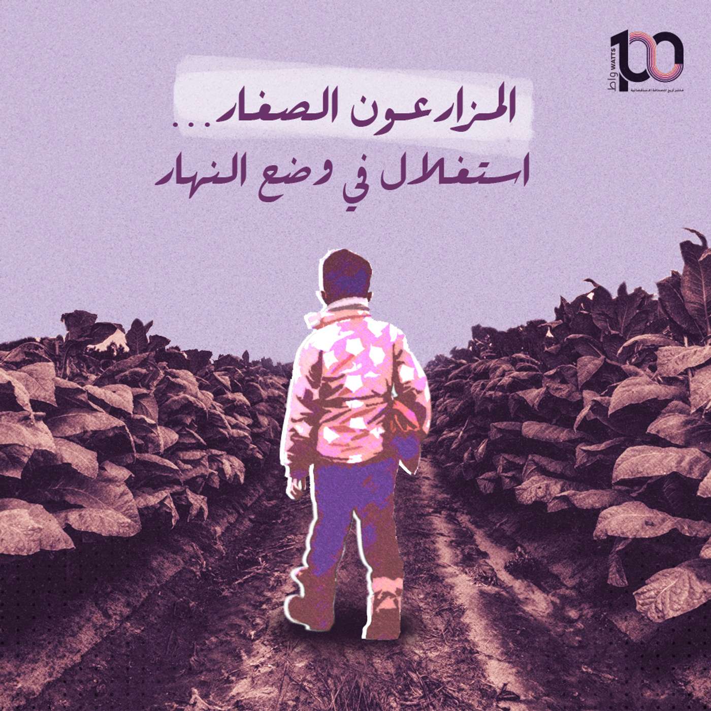 المزارعون الصغار...استغلال في وضح النهار episode artwork