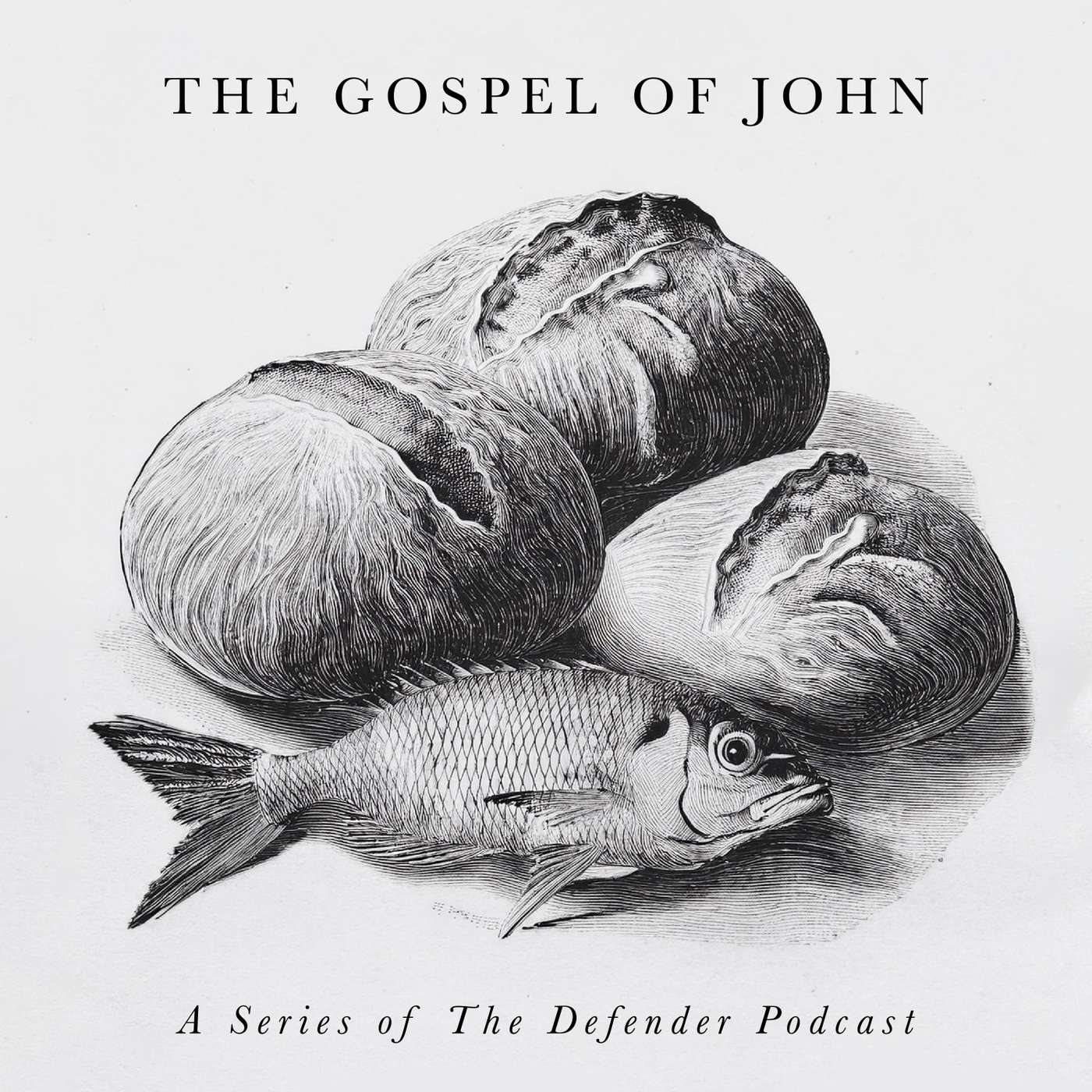 The Defender Bible Study