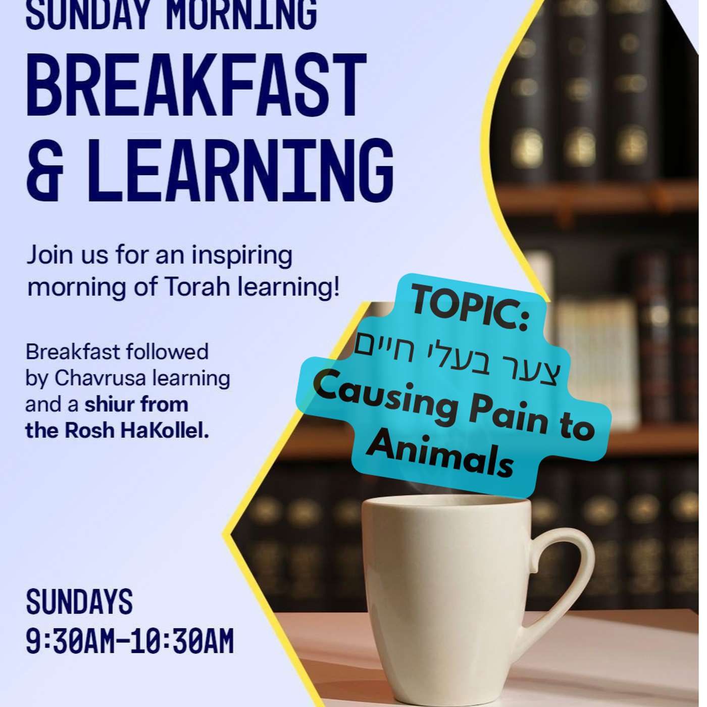 Sunday Halacha: Tzaar Baalei Chayim