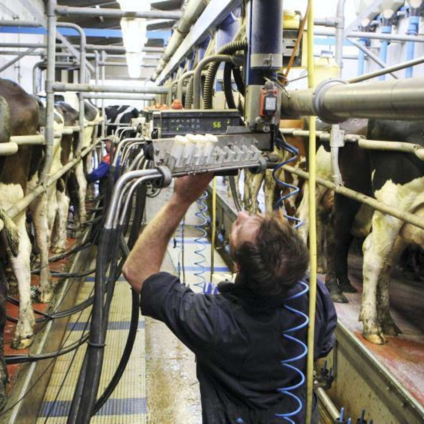 Key tips to reducing SCC