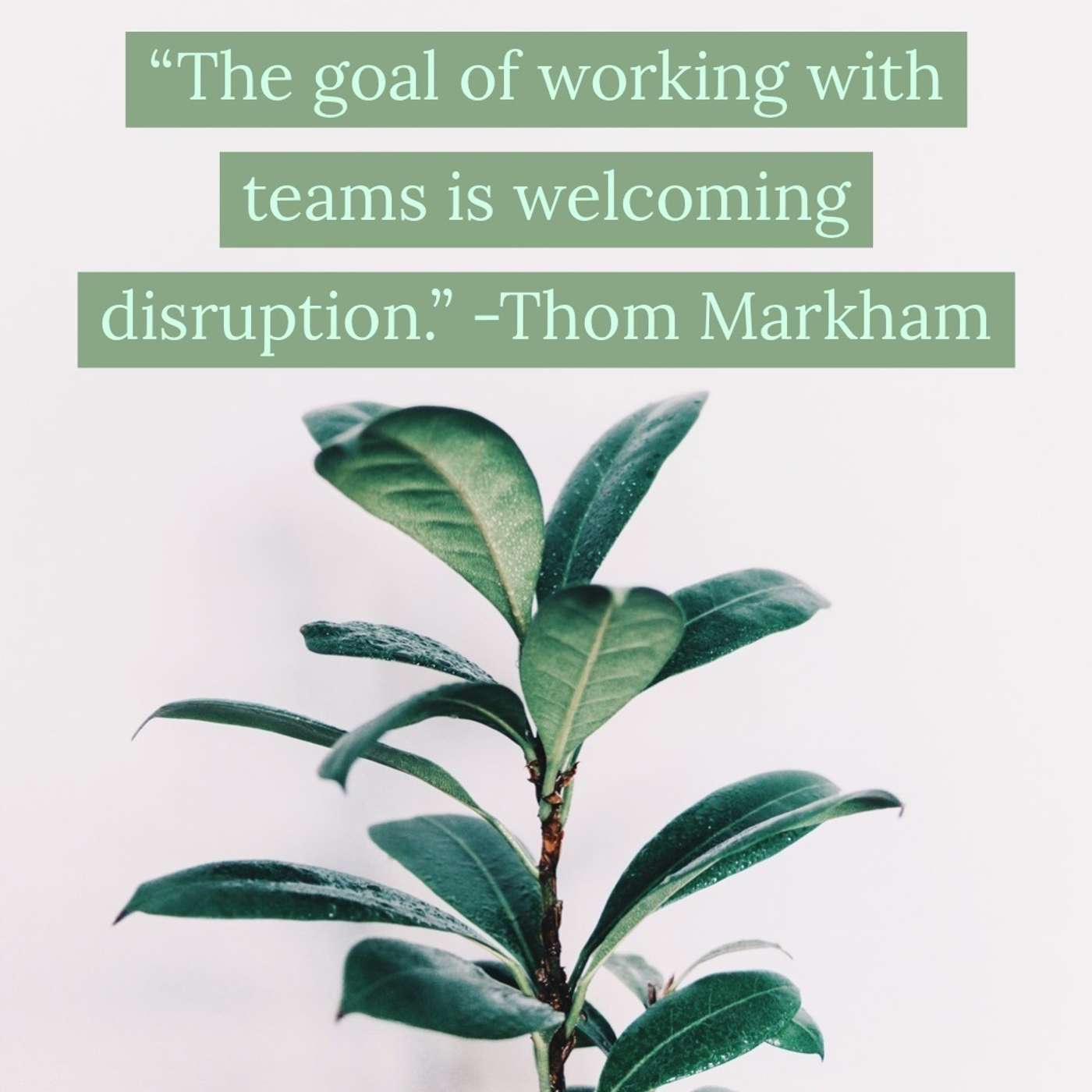 Transformative Principal