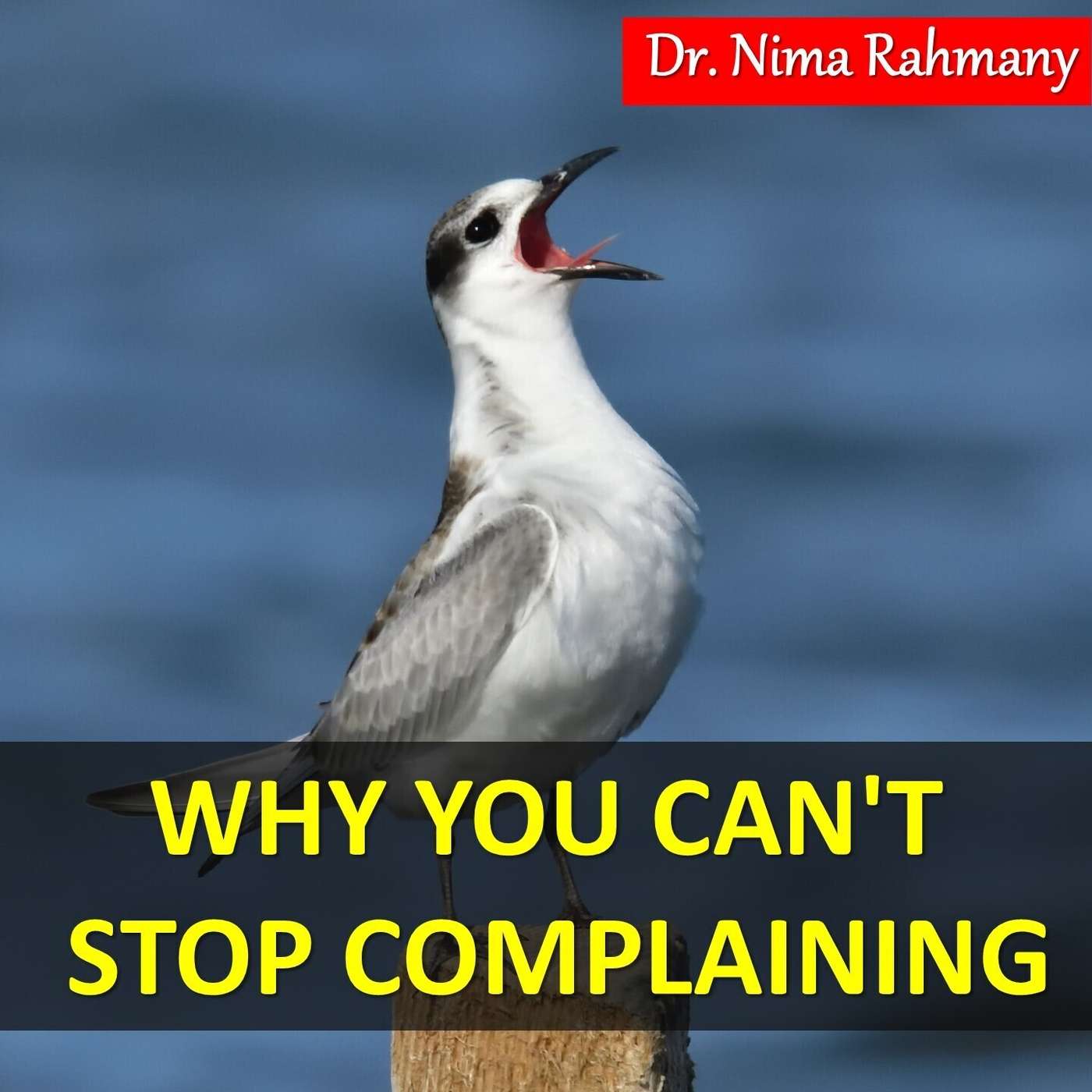 Why You Can't Stop Complaining episode artwork