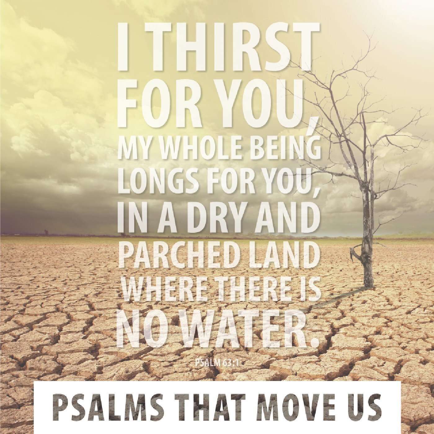 Wheaton Bible Church