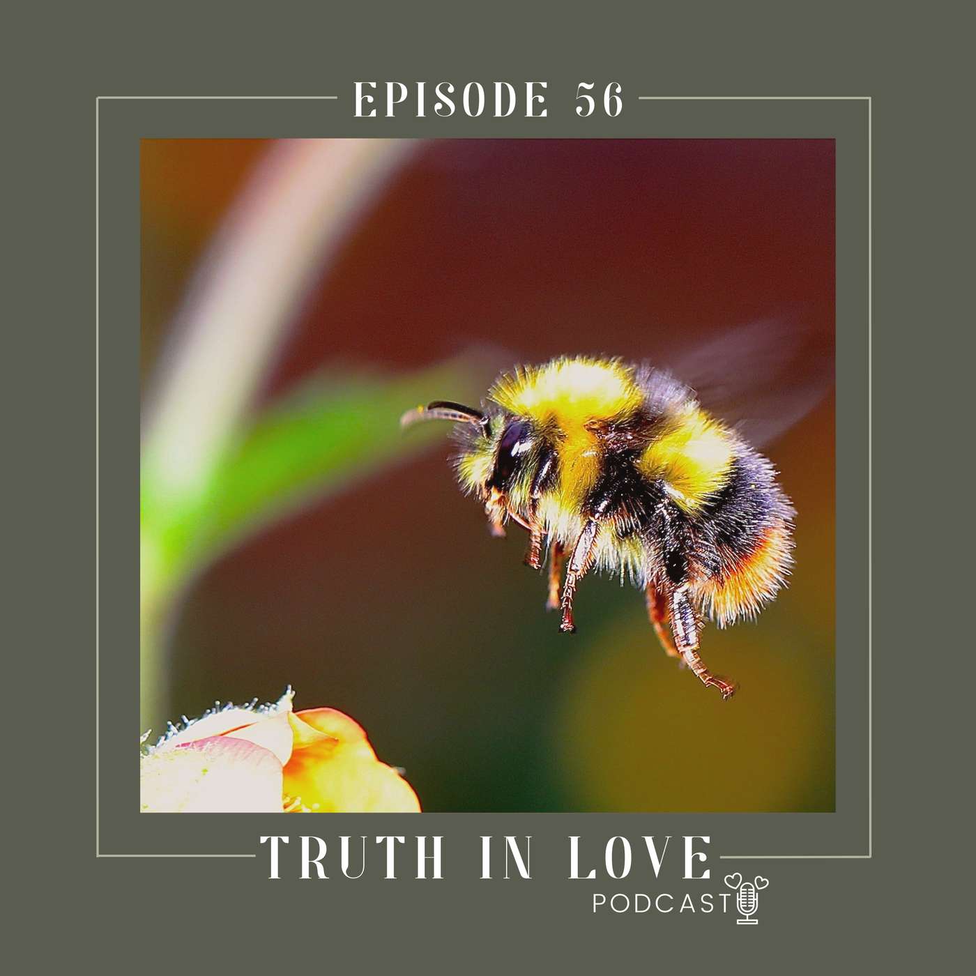Episode 56: Small but Mighty: What Bees Teach Believers