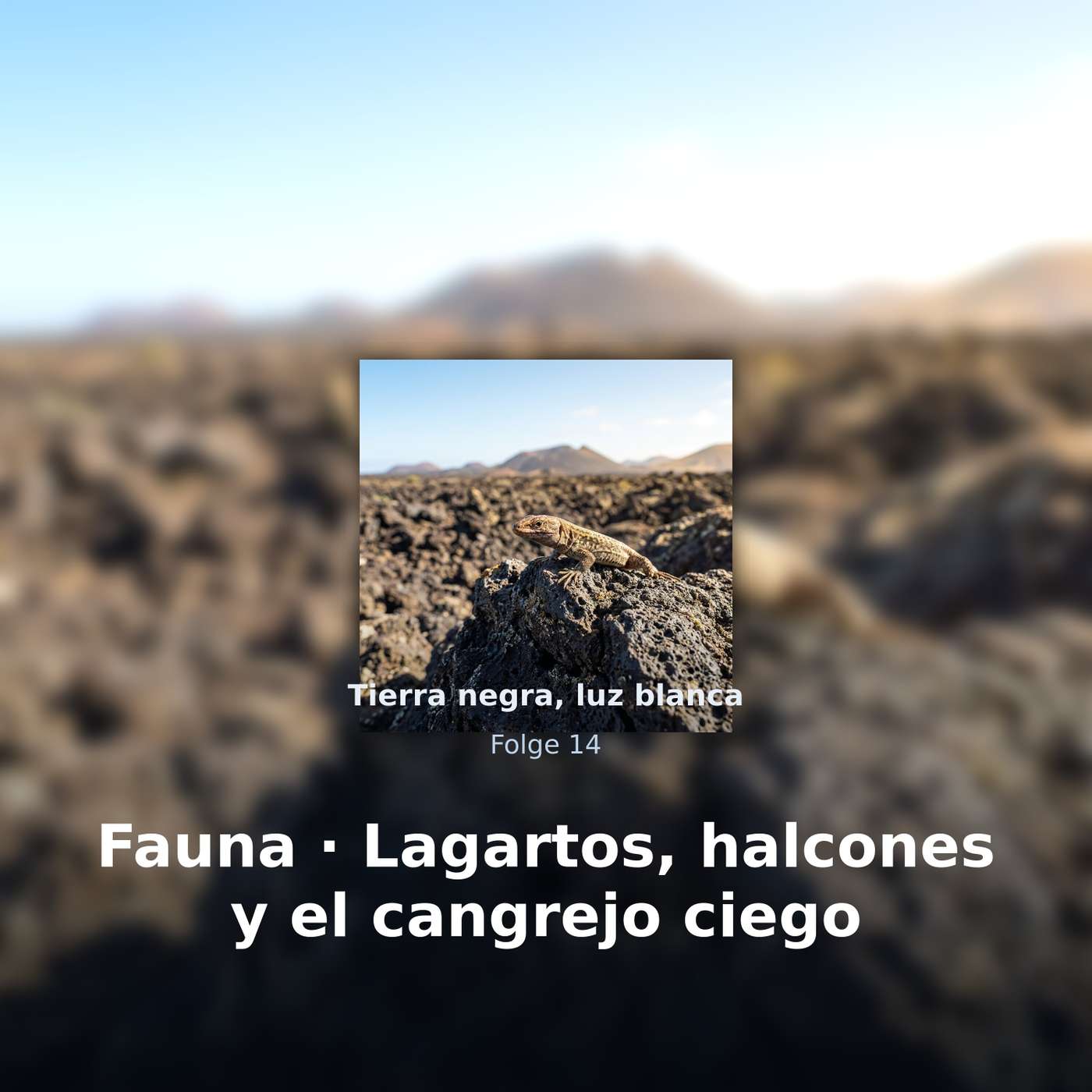 Tierra negra, luz blanca