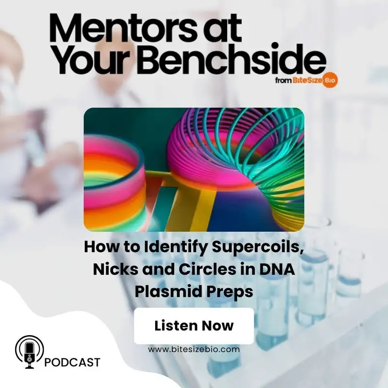 How to Identify Supercoils, Nicks and Circles in DNA Plasmid Preps