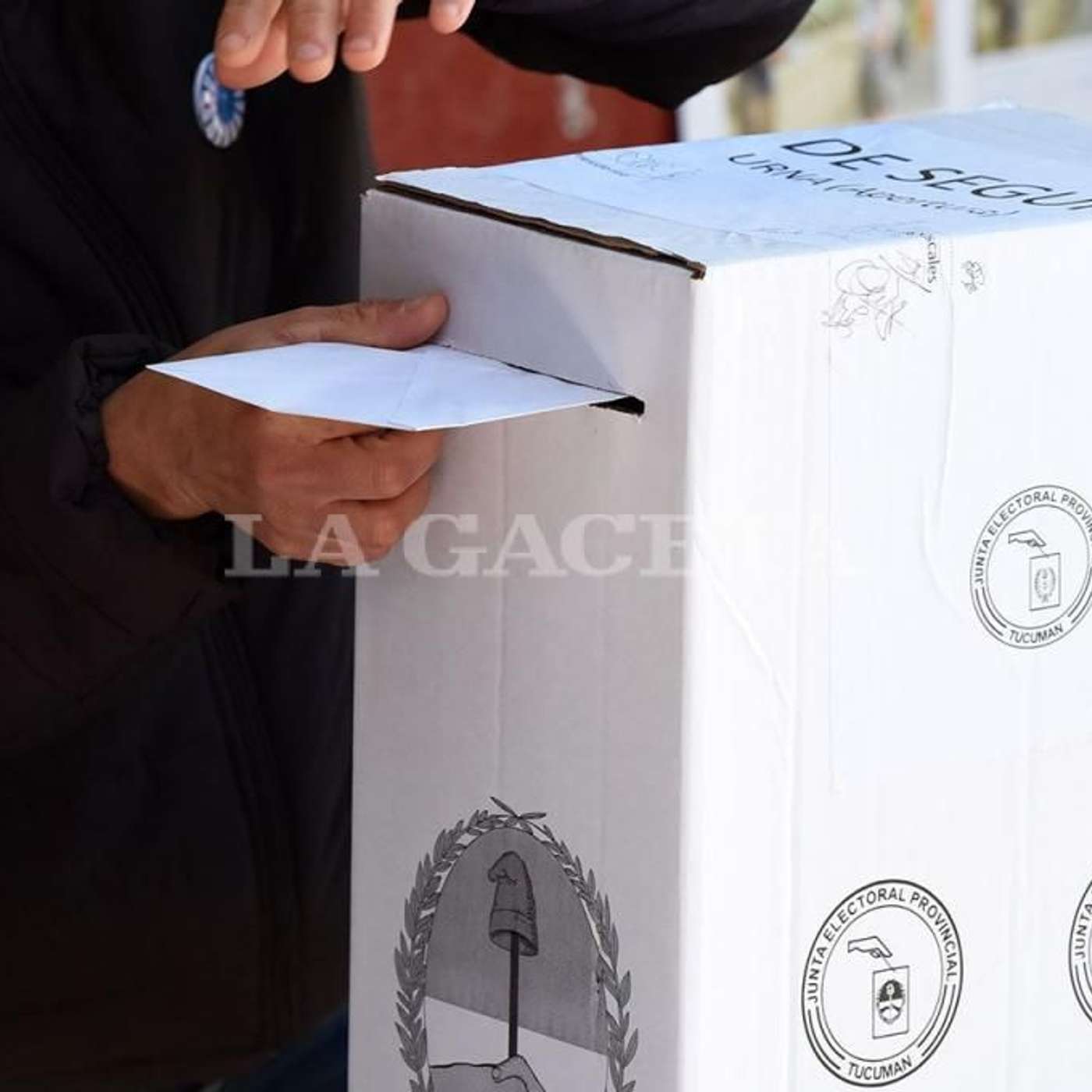A dos semanas de la demanda por la fecha de la elección, piden que se dicte sentencia episode artwork