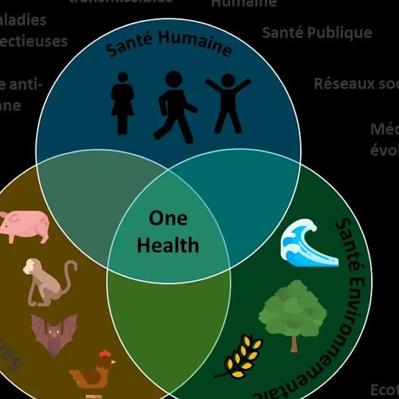 La santé planétaire, de l’écosystème à l’humain