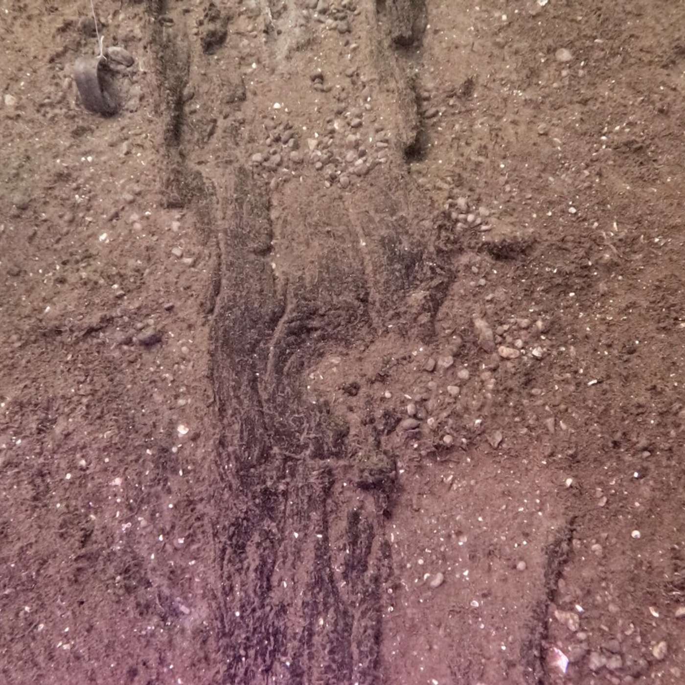 Ancient Canoe Reveals Travel Traditions, Drones Deliver Defibrillators Now, PtBi2 Superconductivity Breakthrough, Webb Reveals Triple Star Dance, and more...