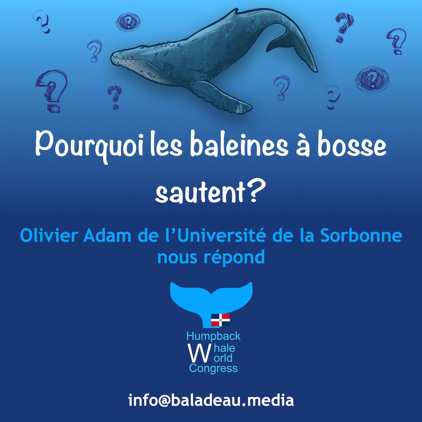 Vignette de l’épisode Pourquoi les baleines à bosse sautent?