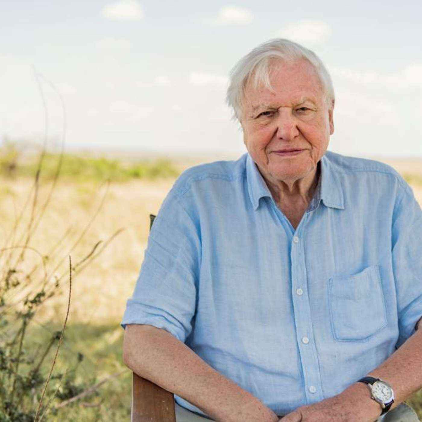 Sir David Attenborough is not slowing down anytime soon!! he will return to narrate Blue Planet III episode artwork