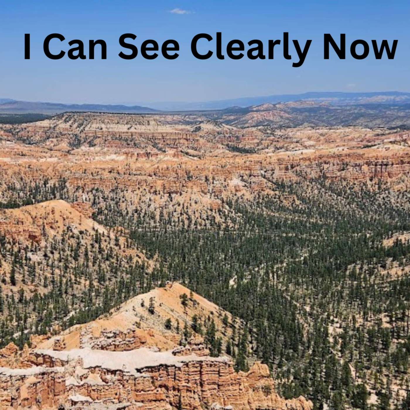 Day 276 - I Can See Clearly Now episode artwork