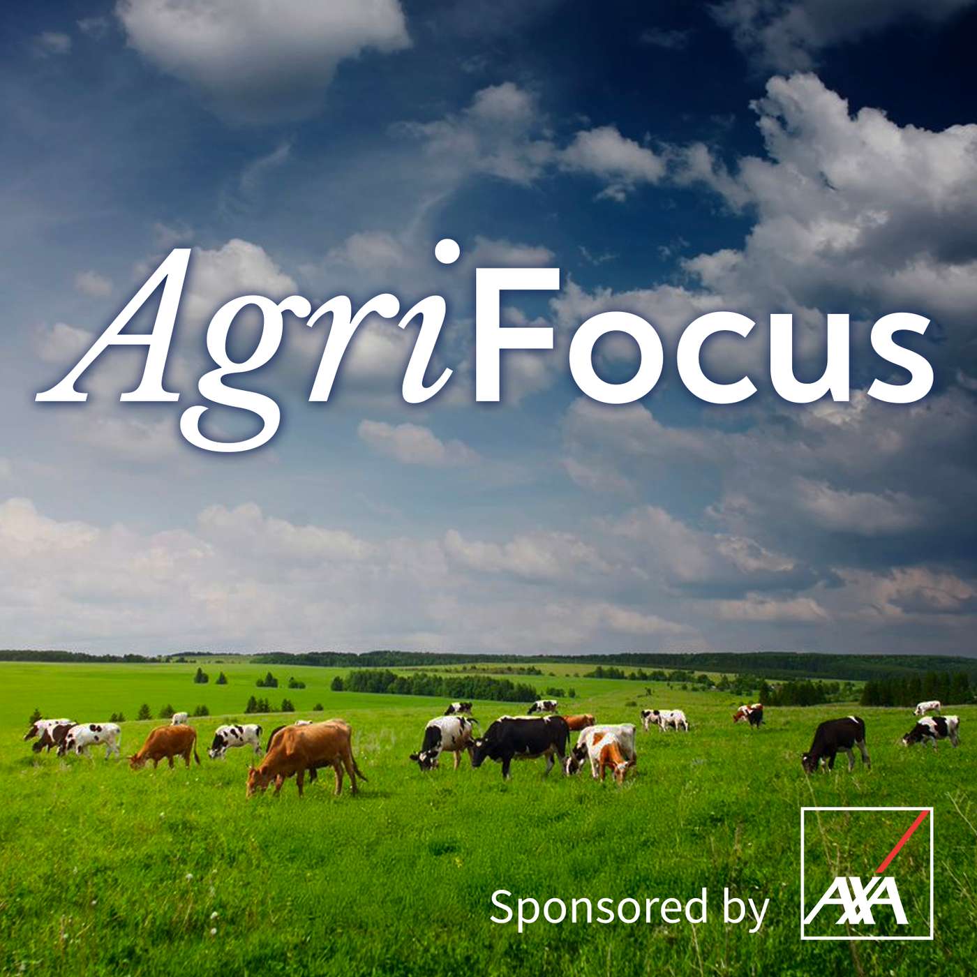 AgriFocus