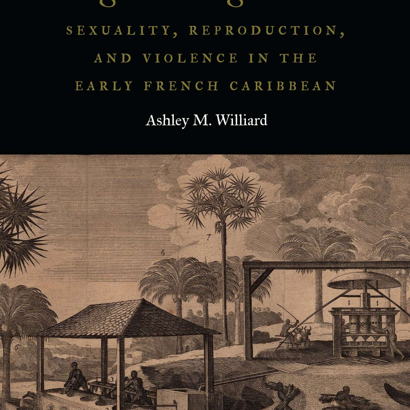 Ashley M. Williard on Engendering Islands: Sexuality, Reproduction, and Violence in the Early French Caribbean