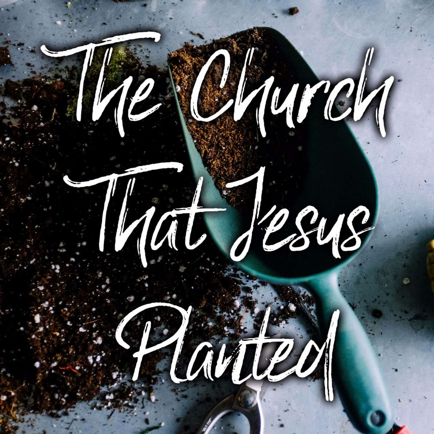 The Church That Jesus Planted | David Lyon