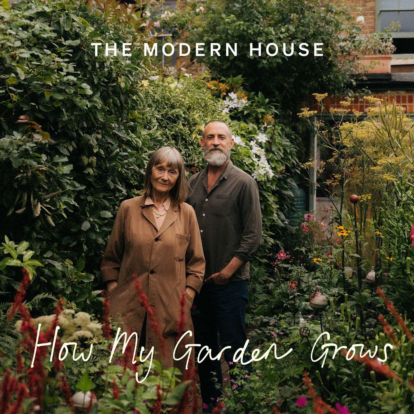 A pint-sized coastal plot thickly cloaked in climbers