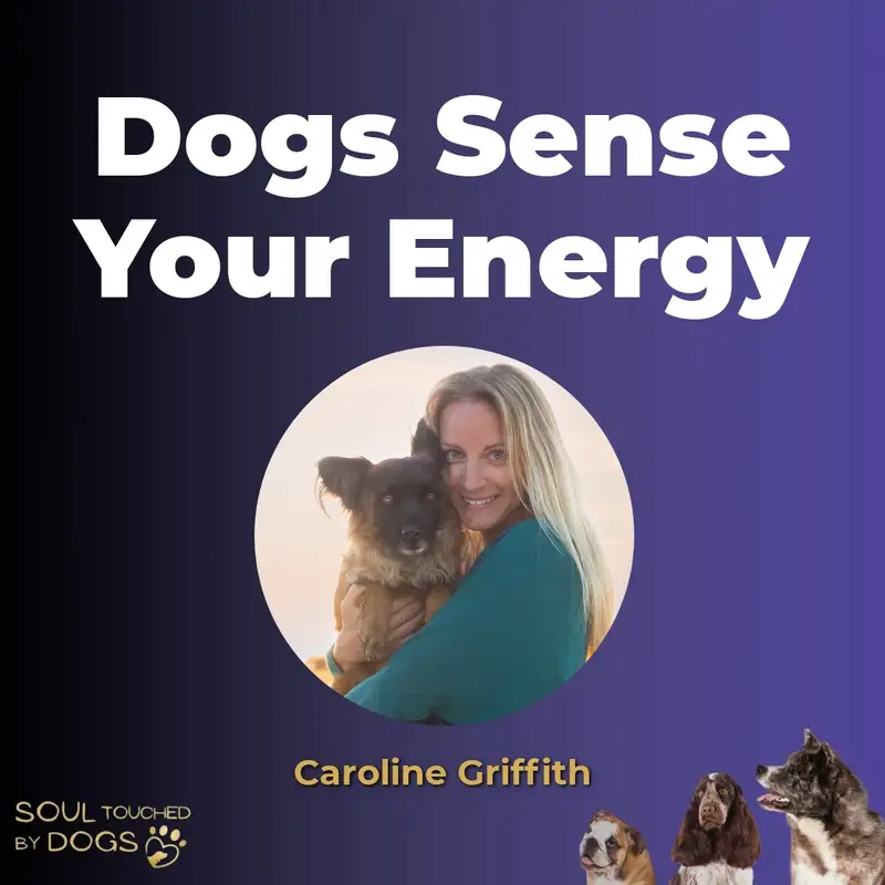 Shift Your Energy, Change Your Dog’s Behavior with Caroline Griffith