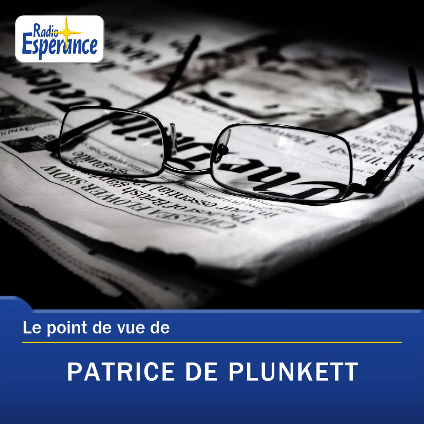 Le point de vue de Patrice de Plunkett