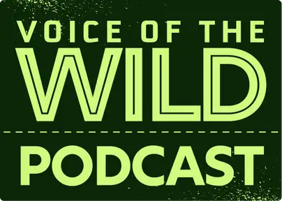 Voice of the Wild