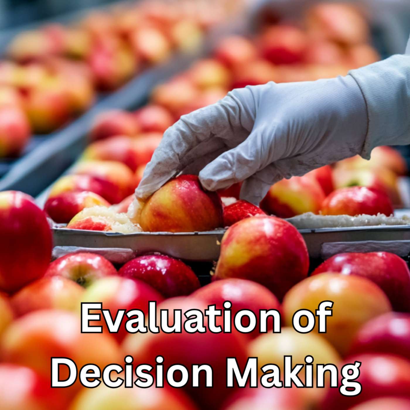 Day 240 - Evaluation of Decision Making episode artwork