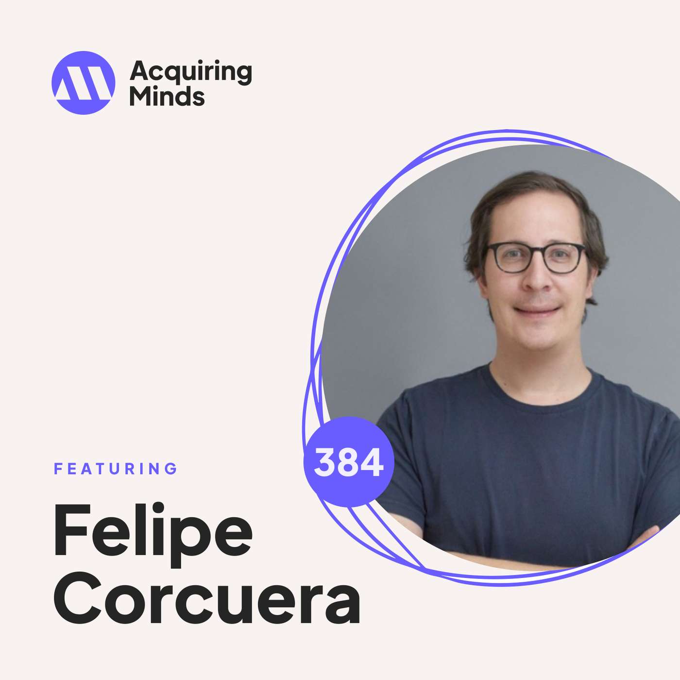 The Joy & Pain of Buying a Tech Business artwork