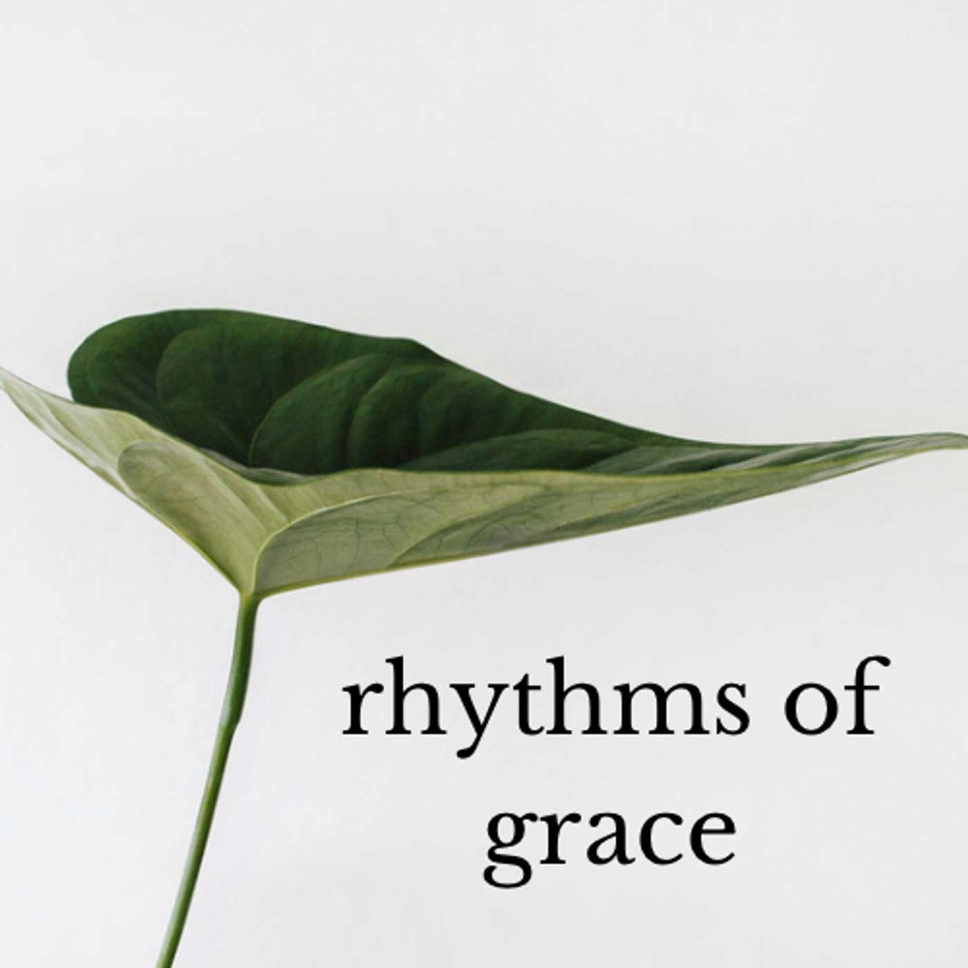 Rhythms of Grace - Generosity episode artwork