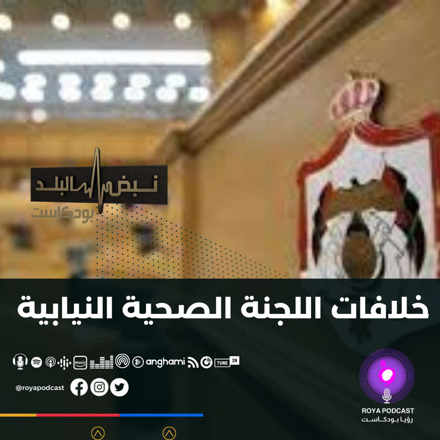 خلافات اللجنة الصحية النيابية