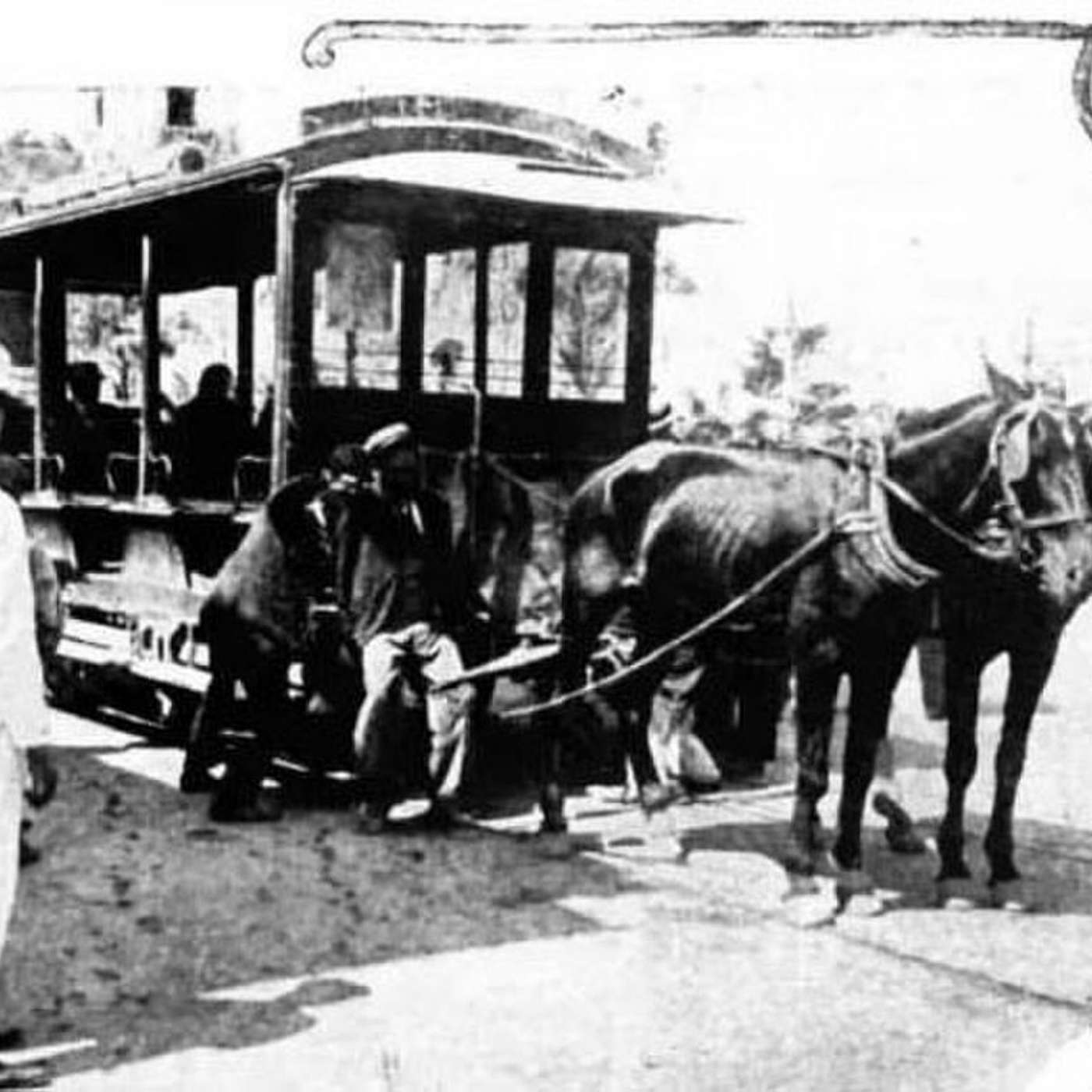 Recuerdos fotográficos: el efecto sedante del tranvía a caballo episode artwork