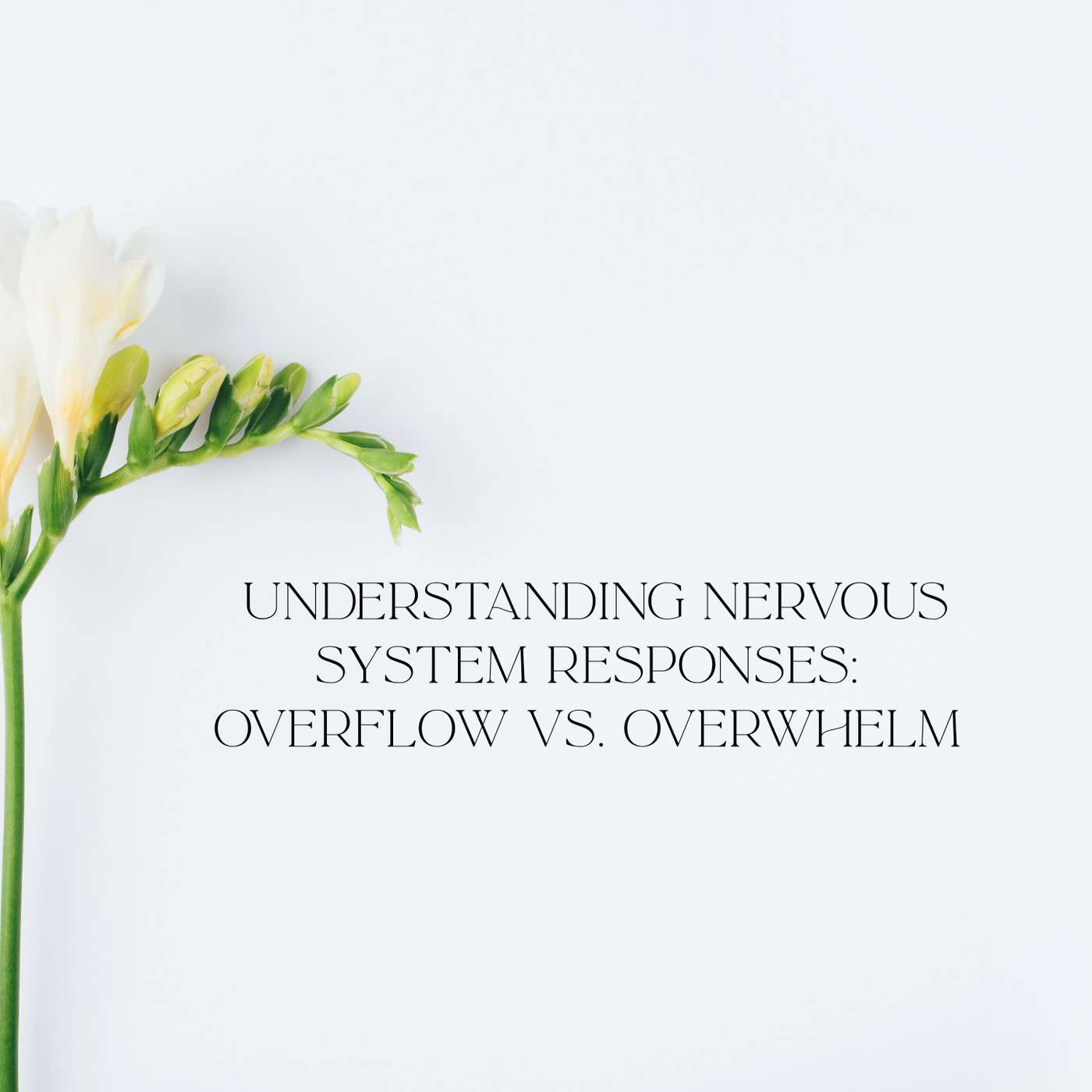 37. Understanding Nervous System Responses: Overflow vs. Overwhelm episode artwork