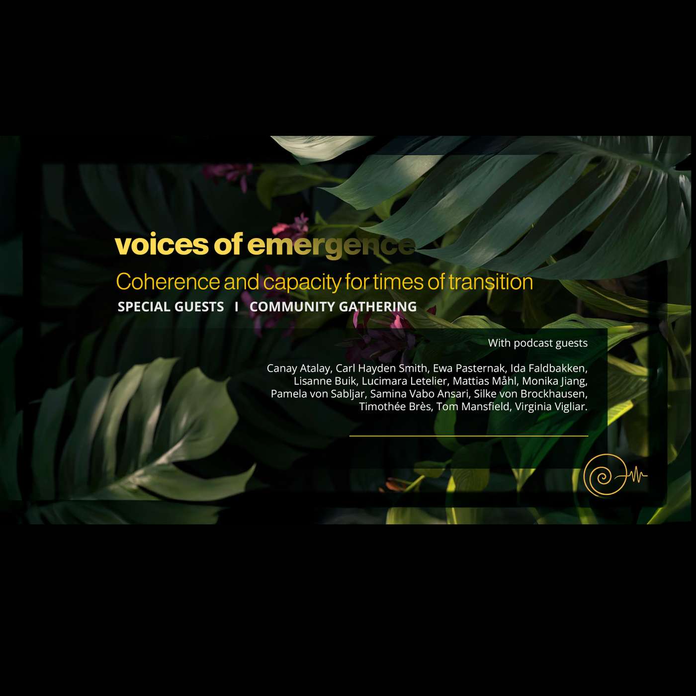 Voices of Emergence
