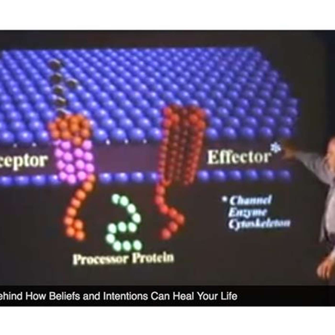 How our Perception changes our Genes -  Biology of Belief with Bruce Lipton episode artwork