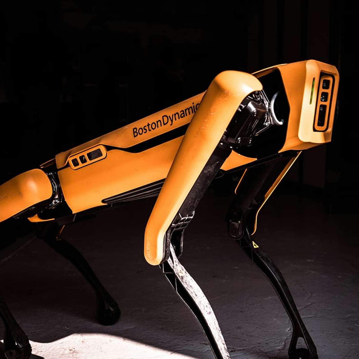 SpaceX Prepares for Starship Flight, AI Experts Warn of 'Human Extinction' Risks, New Male Contraceptive Breakthrough, FDA Rejects MDMA Therapy, and more...