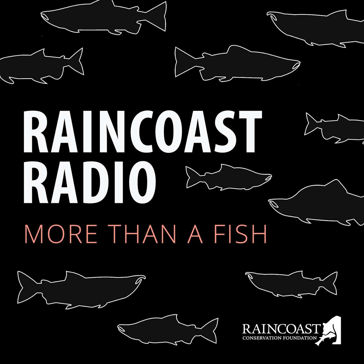 Bridging the gap between salmon scientists and anglers with Fishing with Rod Bridging the gap between salmon scientists and anglers with Fishing with Rod
