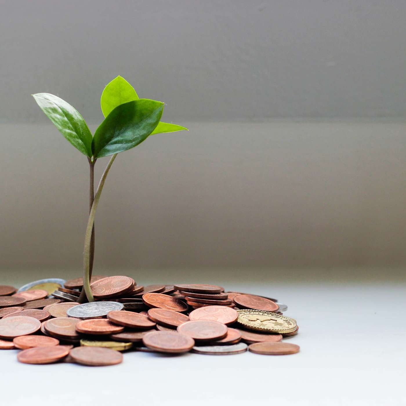 TFL BLOG | How to Become more Generous with your Treasure episode artwork