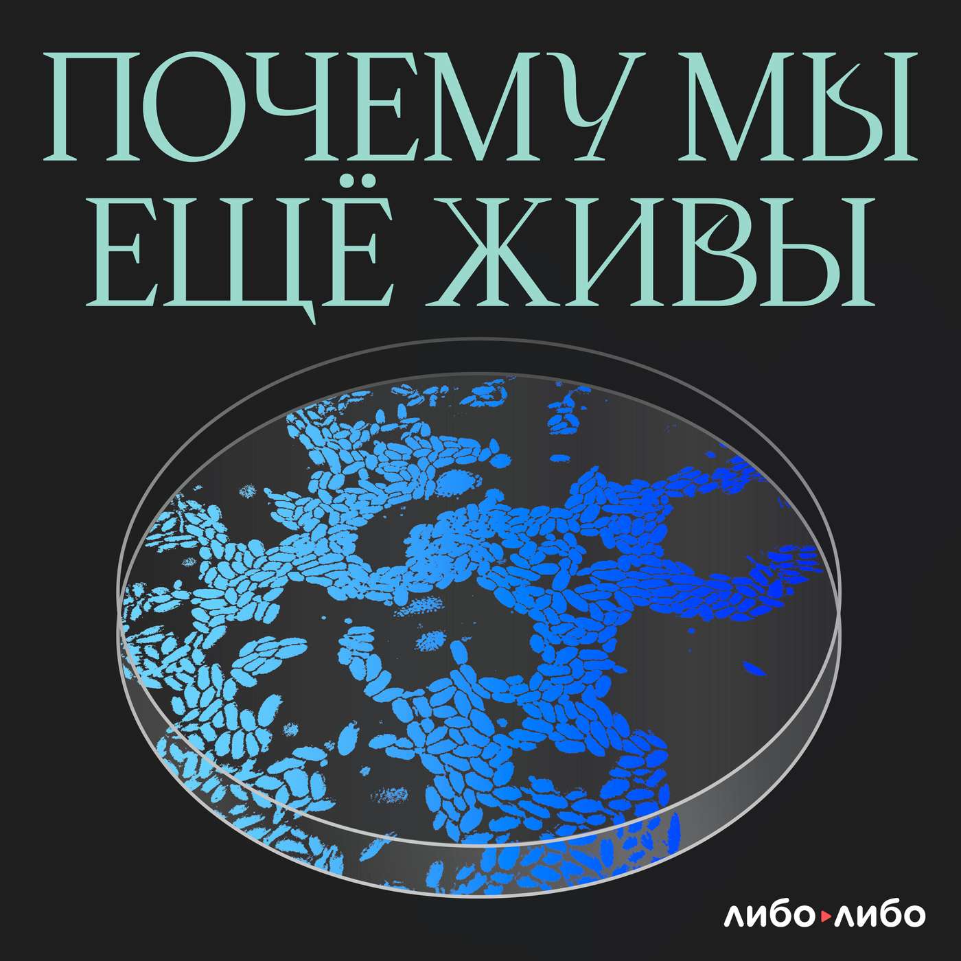 Тизер: интервью с медицинской редакторкой Дашей Гельфман podcast