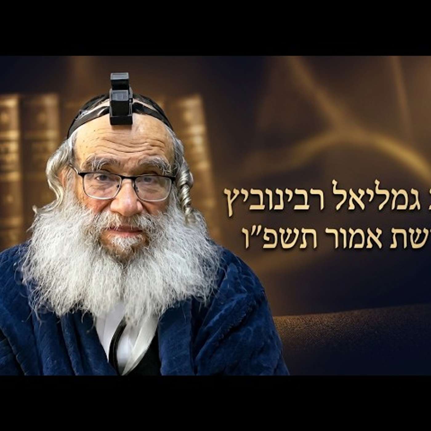 🔍 הרב גמליאל רבינוביץ | פרשת אמור תשפ"ו (2026) | עלונימייל