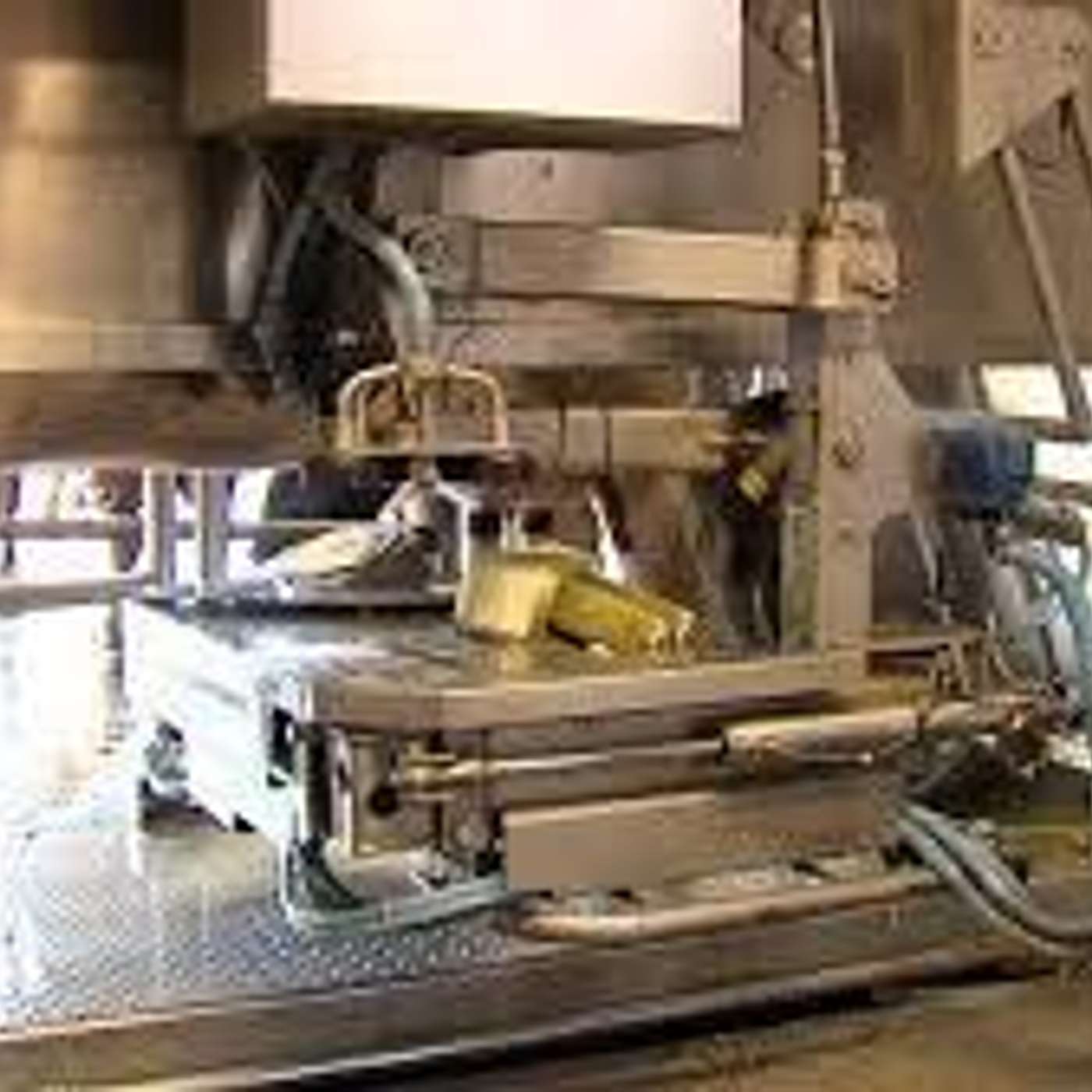 Why robots are the future of milking