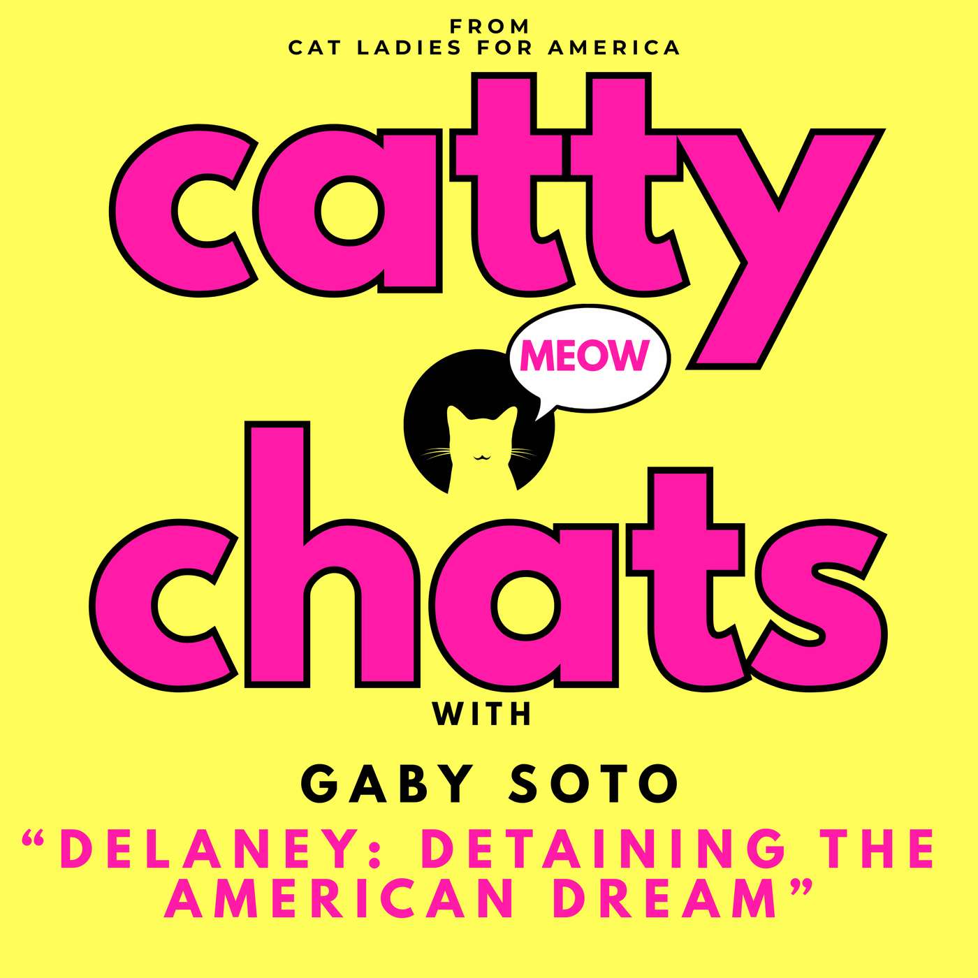 DELANEY: DETAINING THE AMERICAN DREAM episode artwork