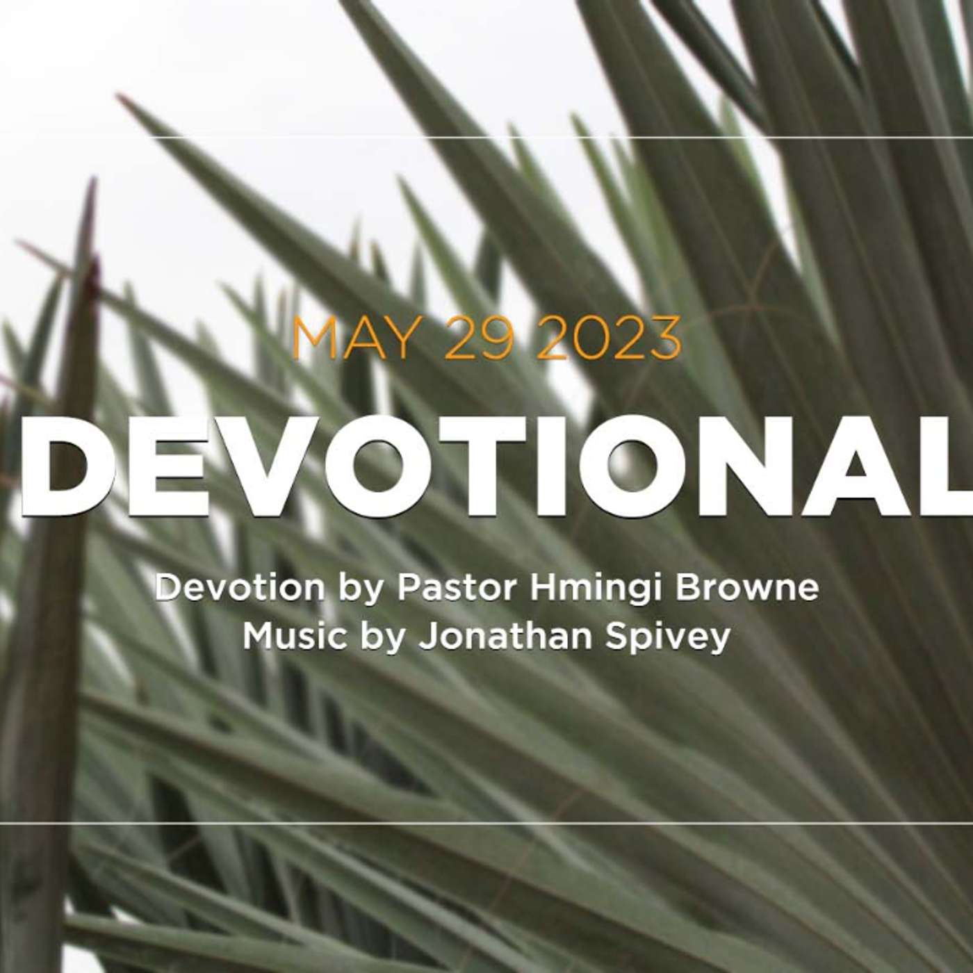 Devotion for May 29, 2023 with Pastor Hmingi Browne episode artwork