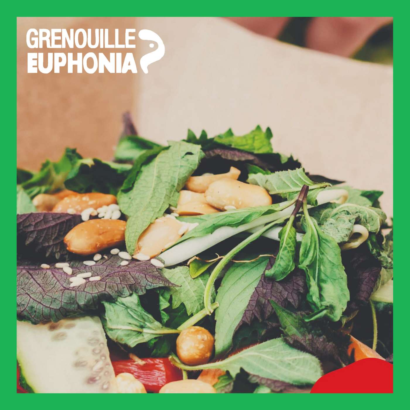 Radio Grenouille au Street Food Festival