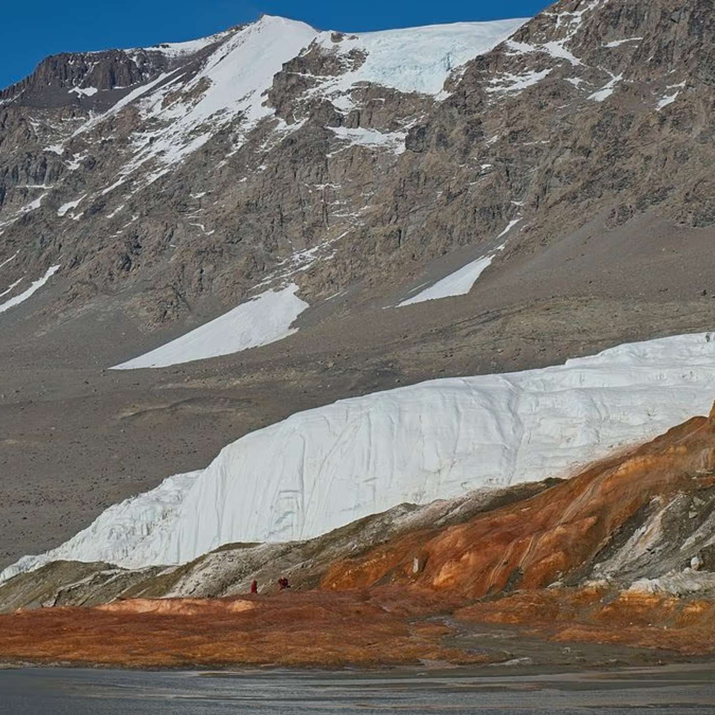 Antarctica’s Ancient Seawater Secrets, Sleep Study Predicts Health Risks, Senators Rally Against Lanternfly, Trailblazing Cancer Immunotherapy Breakthrough, and more...