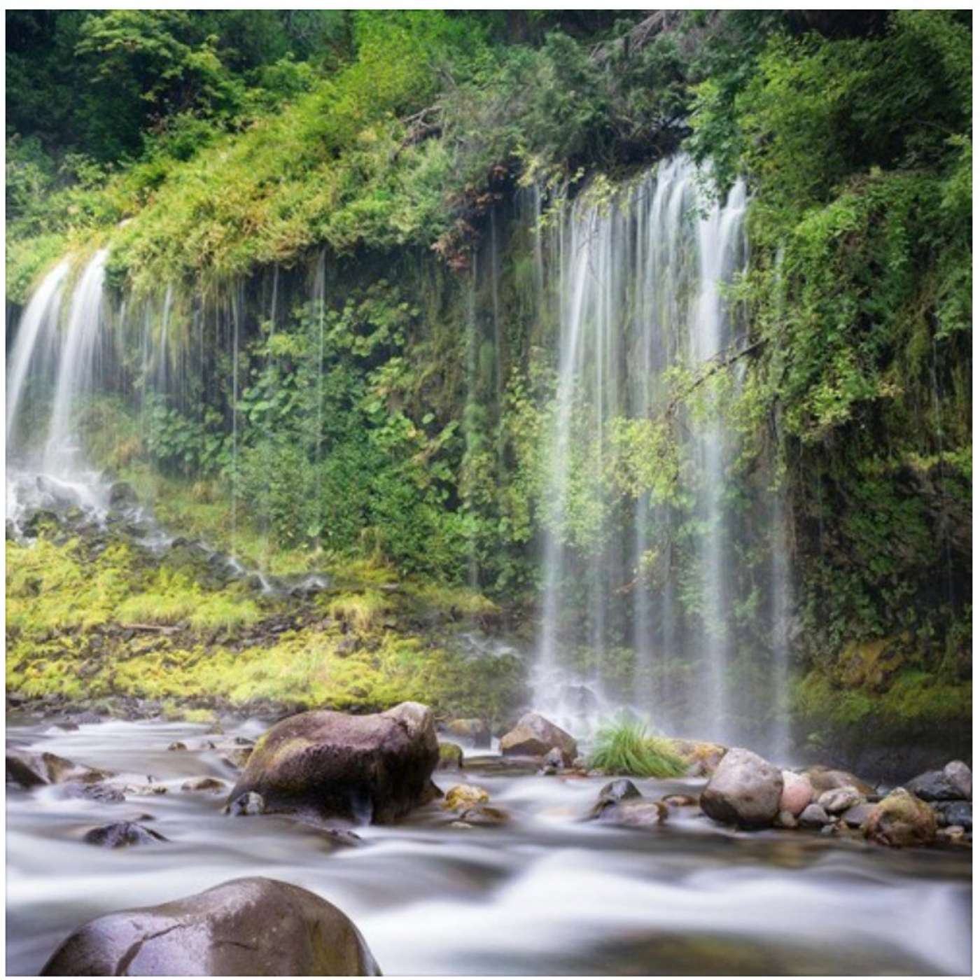 The Blessing and Fixing of the Medina (4)