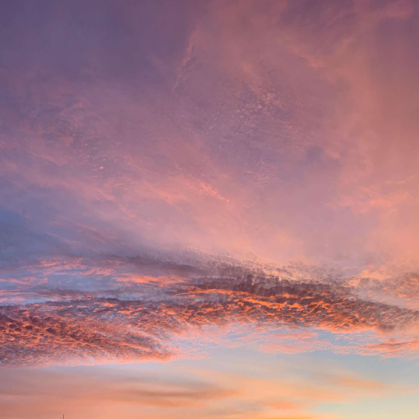 Loving Kindness - Laura Jomon Martin, Zen Teacher