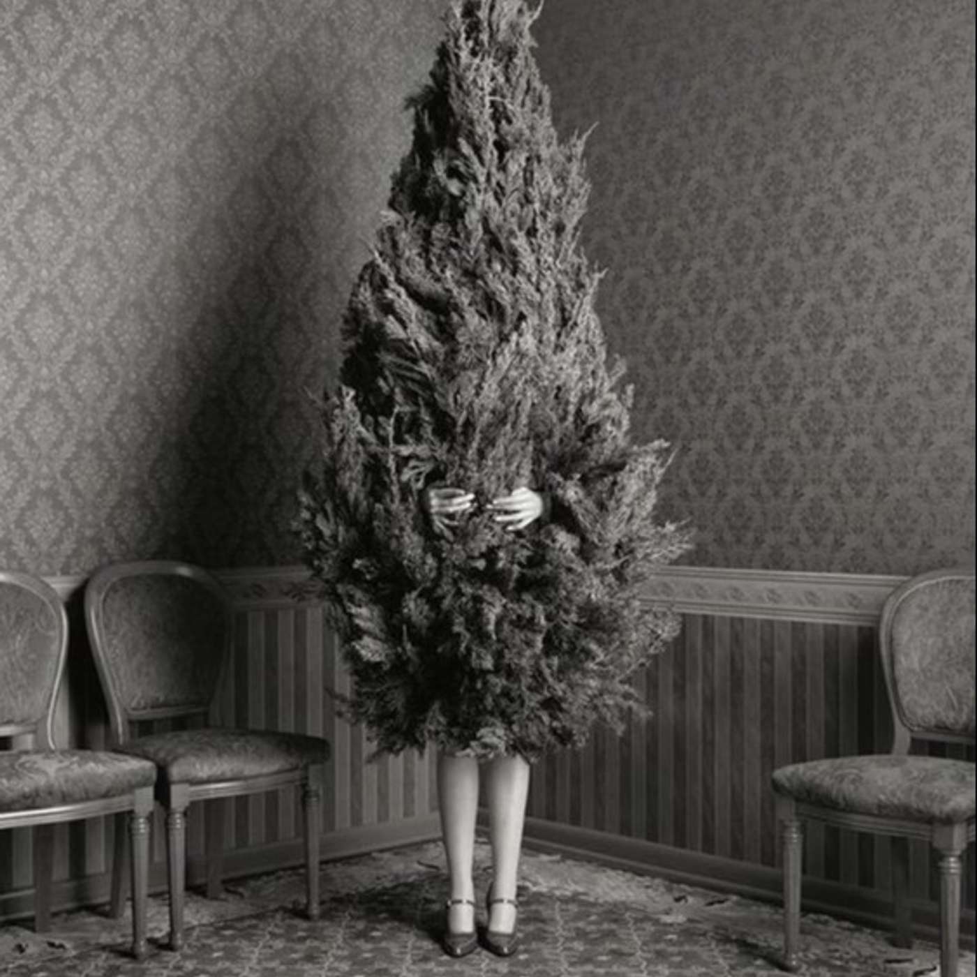 How to Navigate the Holidays: A Closer Look at Christmas and Mental Health Diagnoses