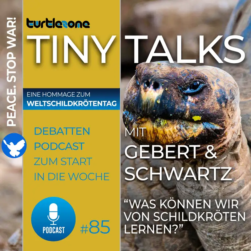 Was können wir von Schildkröten lernen?